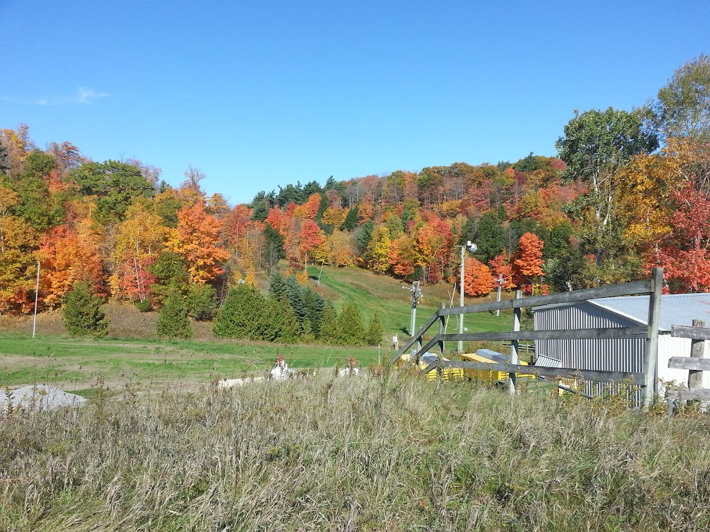 Spring Water | 11301 Lake Ridge Rd, Port Perry, ON L9L 1V8, Canada