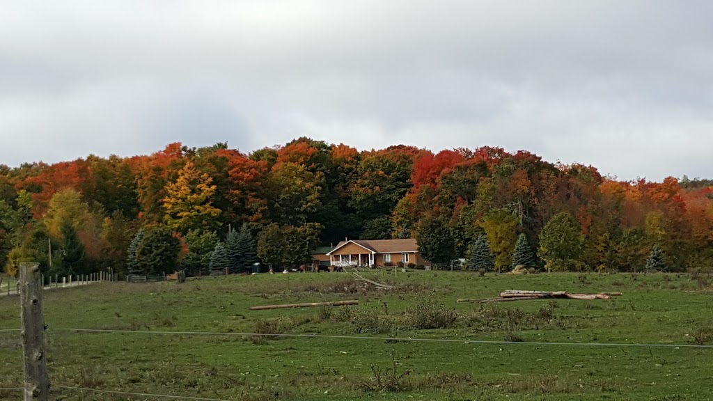 BREEDONS MAPLE SYRUP | 3662 Concession Rd 3, Alliston, ON L9R 1V1, Canada | Phone: (705) 435-5269