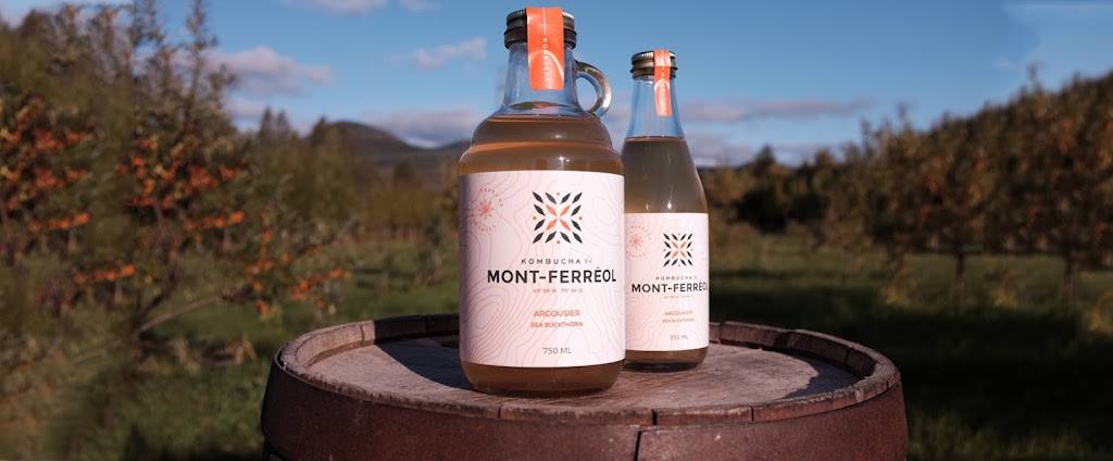 Kombucha du Mont-Ferréol | 140 Rue du Mont Ferréol, Saint-Ferréol-les-Neiges, QC G0A 3R0, Canada | Phone: (418) 476-0853