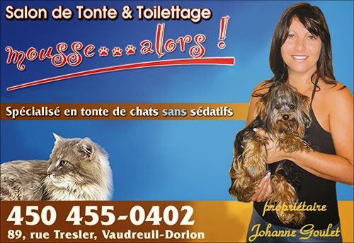 Tonte & Toilettage Mousse...Alors! | 89 Rue Trestler, Vaudreuil-Dorion, QC J7V 1W3, Canada | Phone: (450) 455-0402