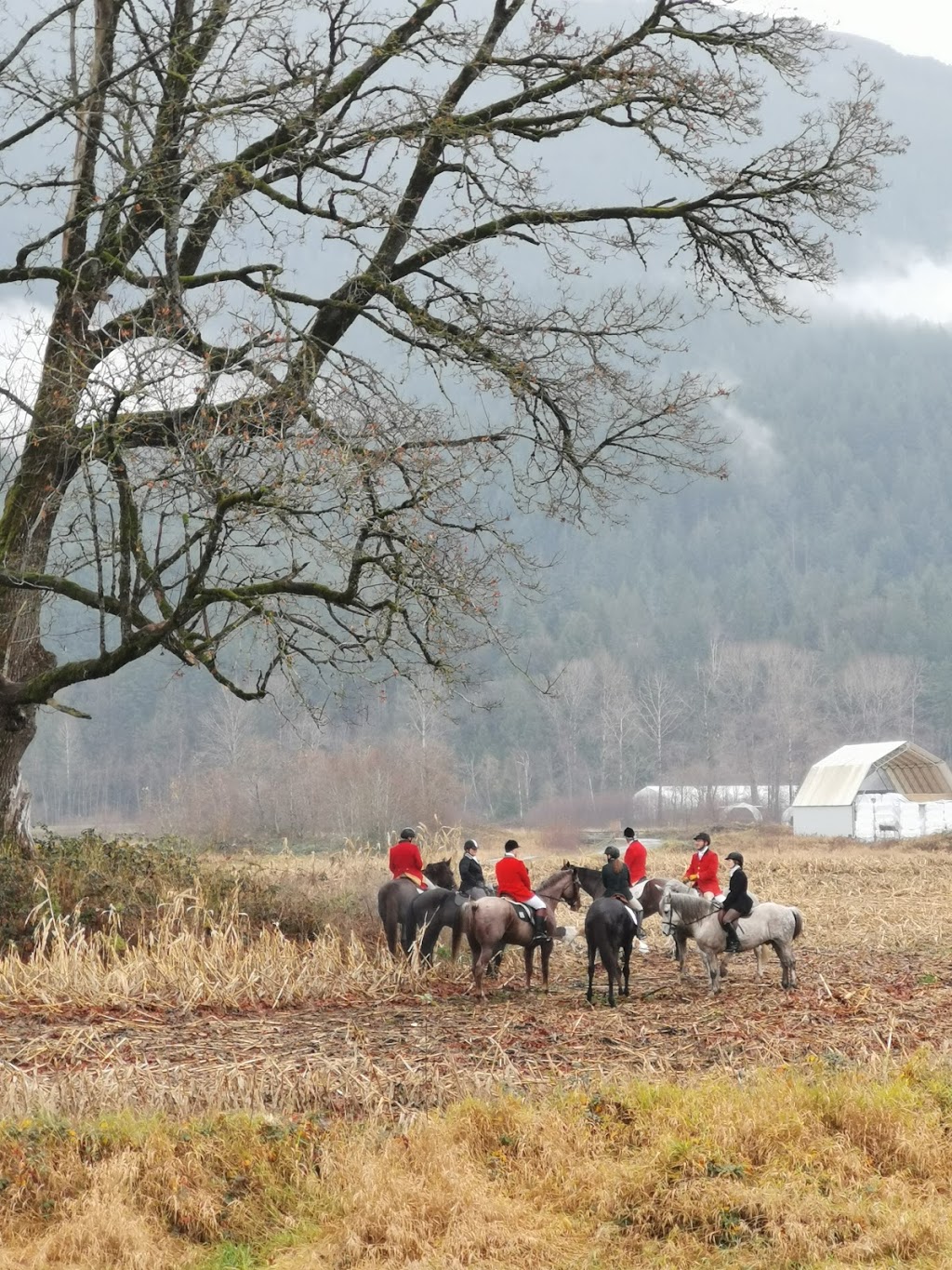 Fraser Valley Hunt | Metro Vancouver Regional District, 1388 272 St, Aldergrove, BC V4W 2P9, Canada | Phone: (604) 835-0845