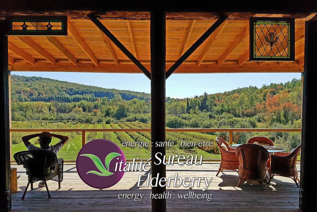 Vitalité Sureau/Elderberry | 851 Chemin Knowlton, West Brome, QC J0E 2P0, Canada | Phone: (450) 522-5255