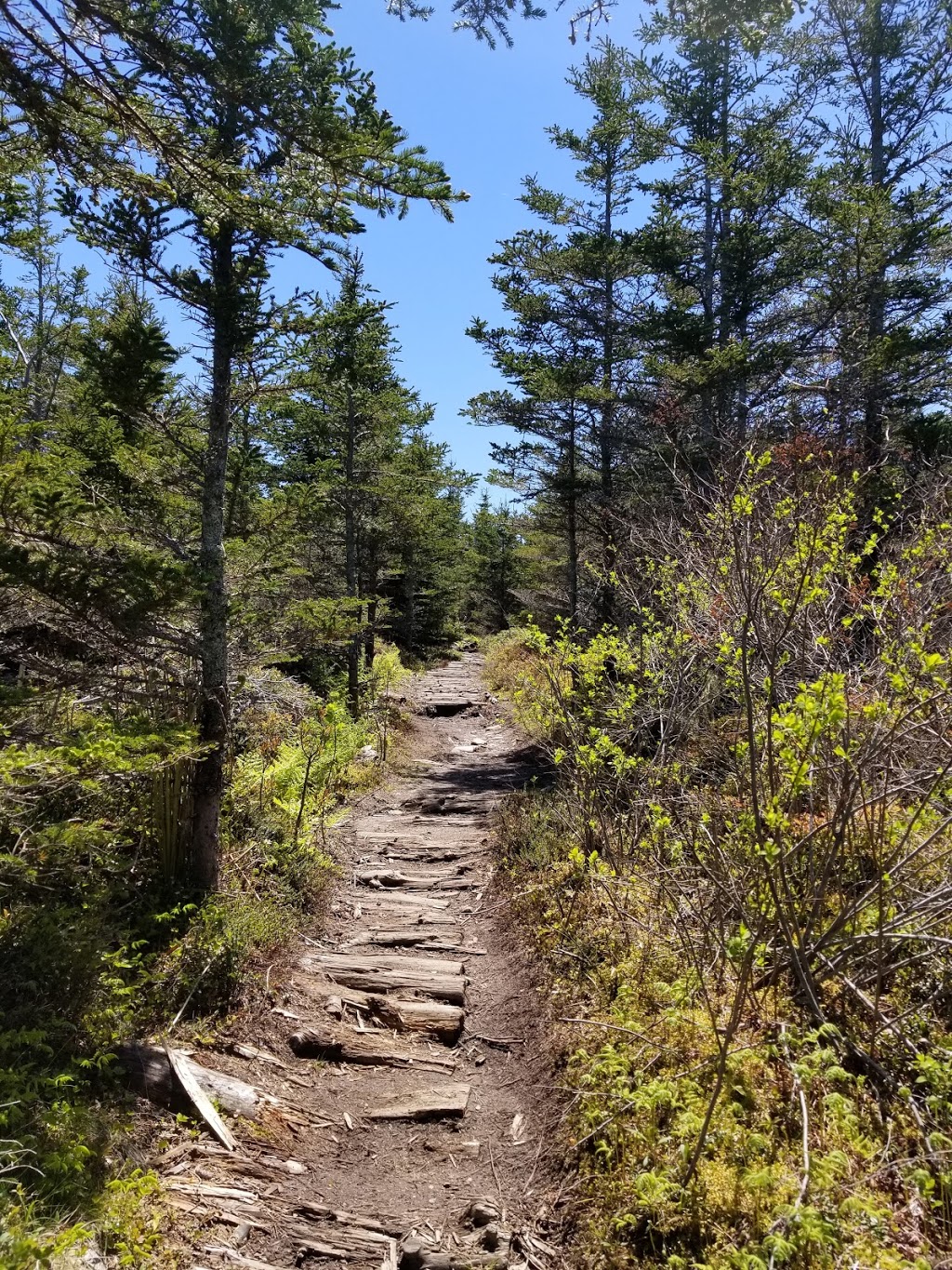 Gaff Point | Gaff Point Trail, Lunenburg, NS B0J 2W0, Canada