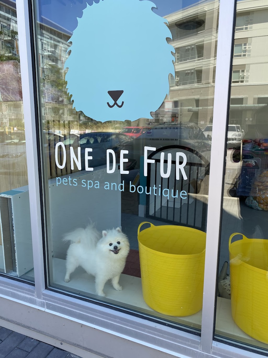 One de Fur Pets | Spa and Boutique | 10880 No 5 Rd #140, Richmond, BC V6W 0B6, Canada | Phone: (604) 370-9555