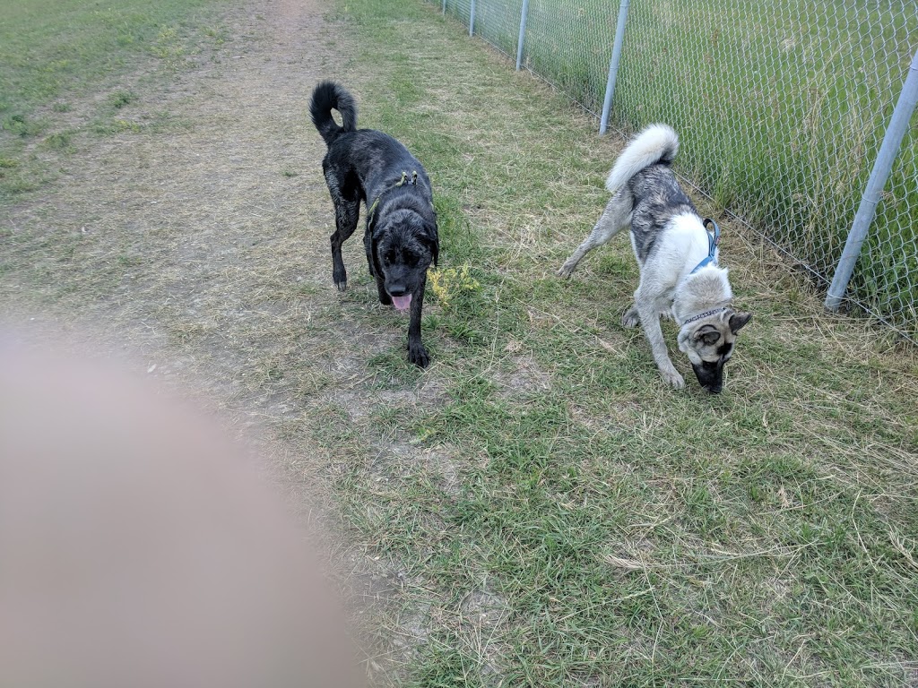 Ross Industrial Off-Leash Dog Park | 624 Solomon Cres, Regina, SK S4N 4N7, Canada | Phone: (306) 777-7000