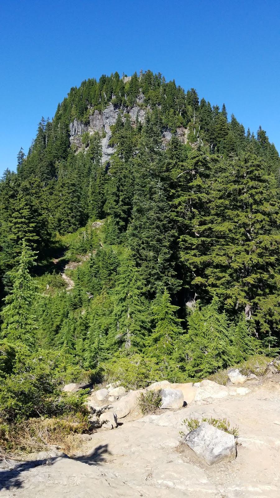 Goat Ridge Route | Goat Ridge Rte, North Vancouver, BC V7K 1X8, Canada