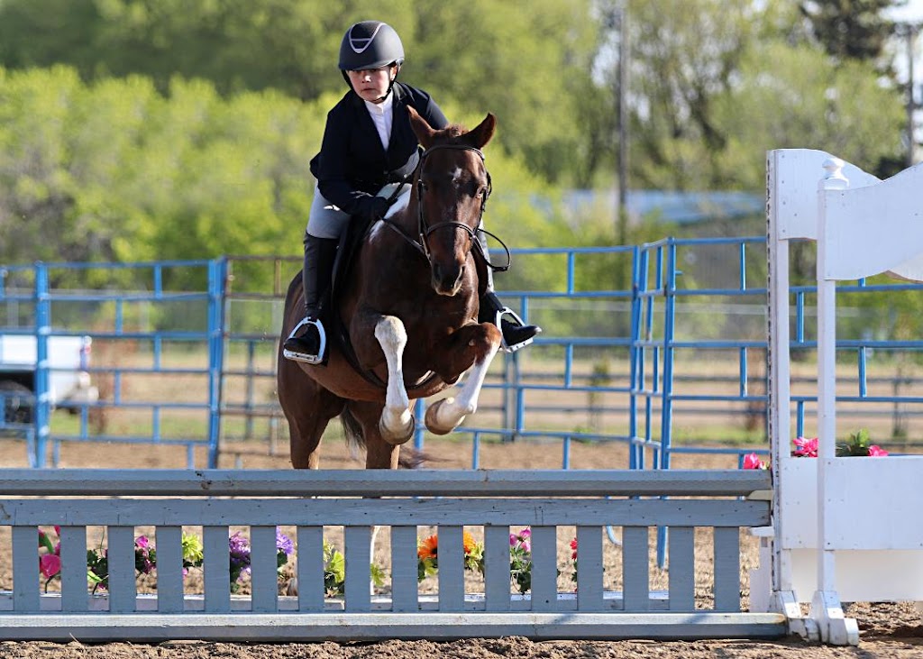 Thorbrooke Equestrian | 22233 4 Ave, Langley Twp, BC V2Z 1R9, Canada | Phone: (604) 308-2036