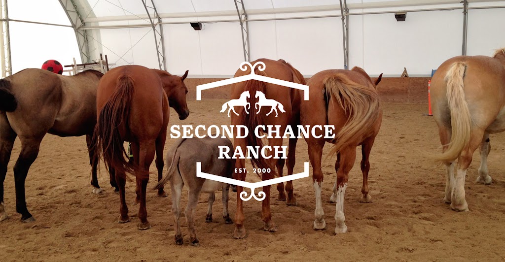 Second Chance Ranch | 292 McPhillips Rd, Saint Andrews, MB R1A 3E4, Canada | Phone: (204) 771-5335