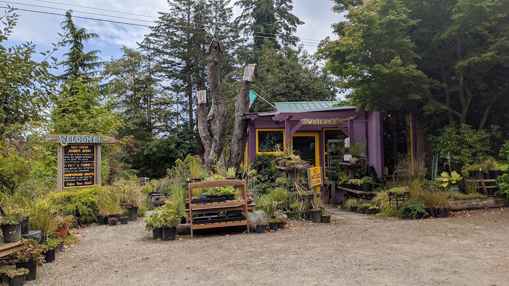 Garden Faire Gallery Nursery & Campground | 305 Rainbow Rd, Salt Spring Island, BC V8K 2M3, Canada | Phone: (250) 537-4346