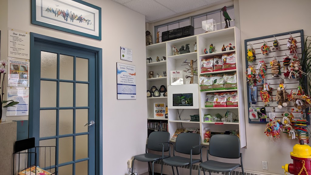 Links Road Animal & Bird Clinic | 41 The Links Rd, North York, ON M2P 1T7, Canada | Phone: (416) 223-1165