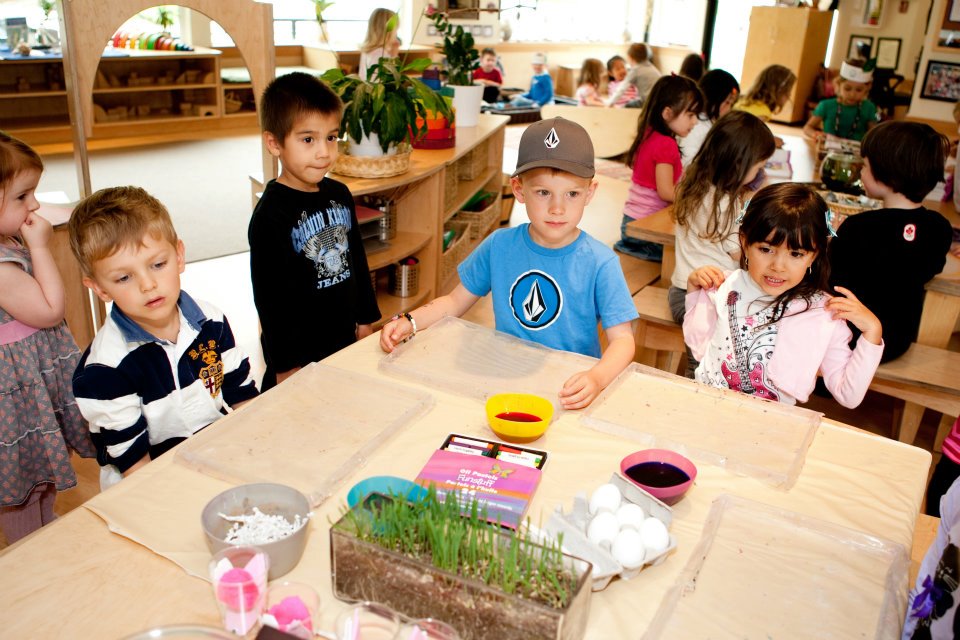 Kinder Kampus - Heritage Mountain 2 | 300 Panorama Pl, Port Moody, BC V3H 5G8, Canada | Phone: (604) 461-2266