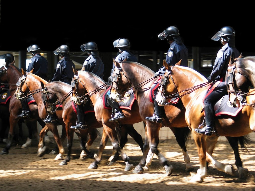 Toronto Police Service Mounted Unit | Manitoba Dr, Toronto, ON M6K 3C3, Canada | Phone: (416) 808-1700