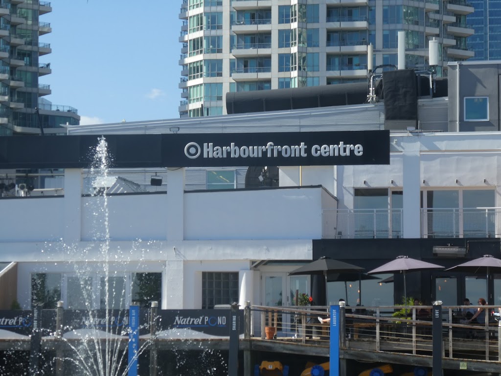 Harbourfront Centre Camps | 235 Queens Quay W, Toronto, ON M5J 2G8, Canada | Phone: (416) 973-4093