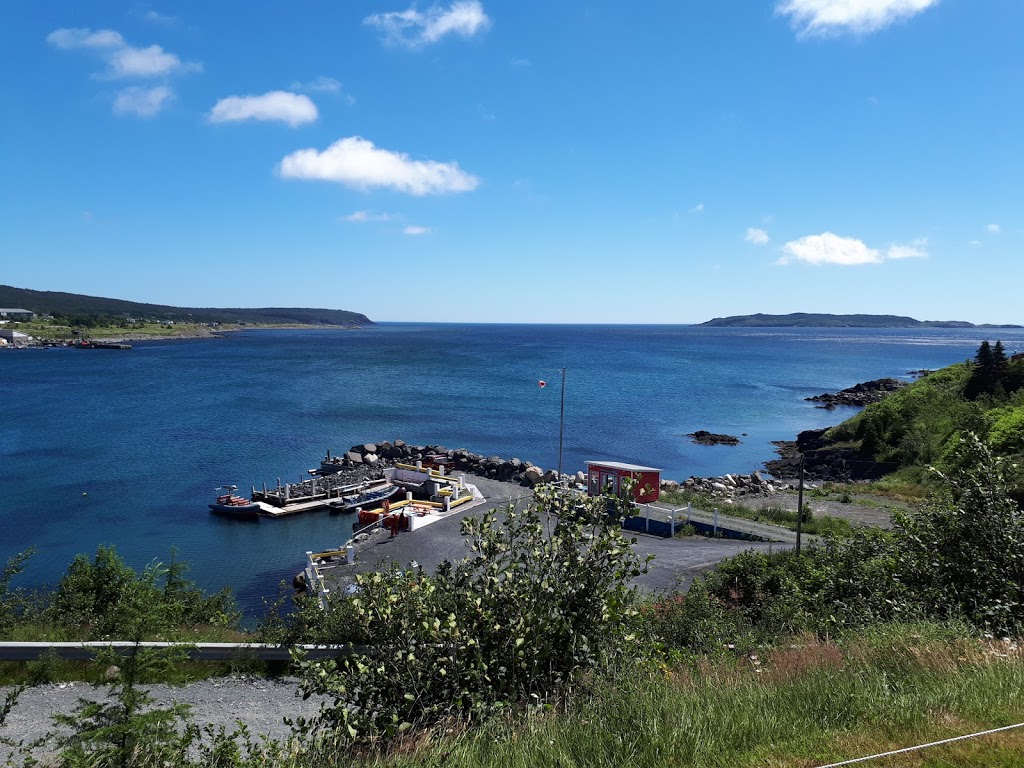 Ecotours Zodiac Adventures | Lower Loop Rd, Witless Bay, NL A0A 4K0, Canada | Phone: (709) 330-8687