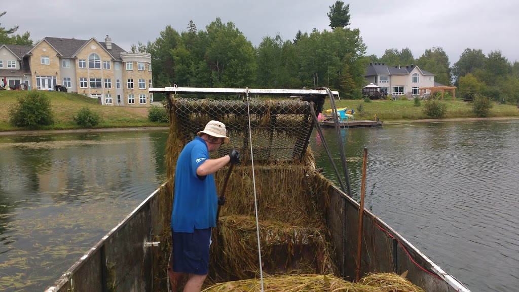 Rideau Aquatic Weed Control | 279 Jones Falls Rd, Elgin, ON K0G 1E0, Canada | Phone: (613) 985-0585