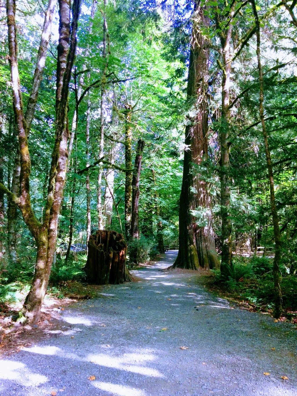 Goldstream Provincial Park | Langford, BC, Canada