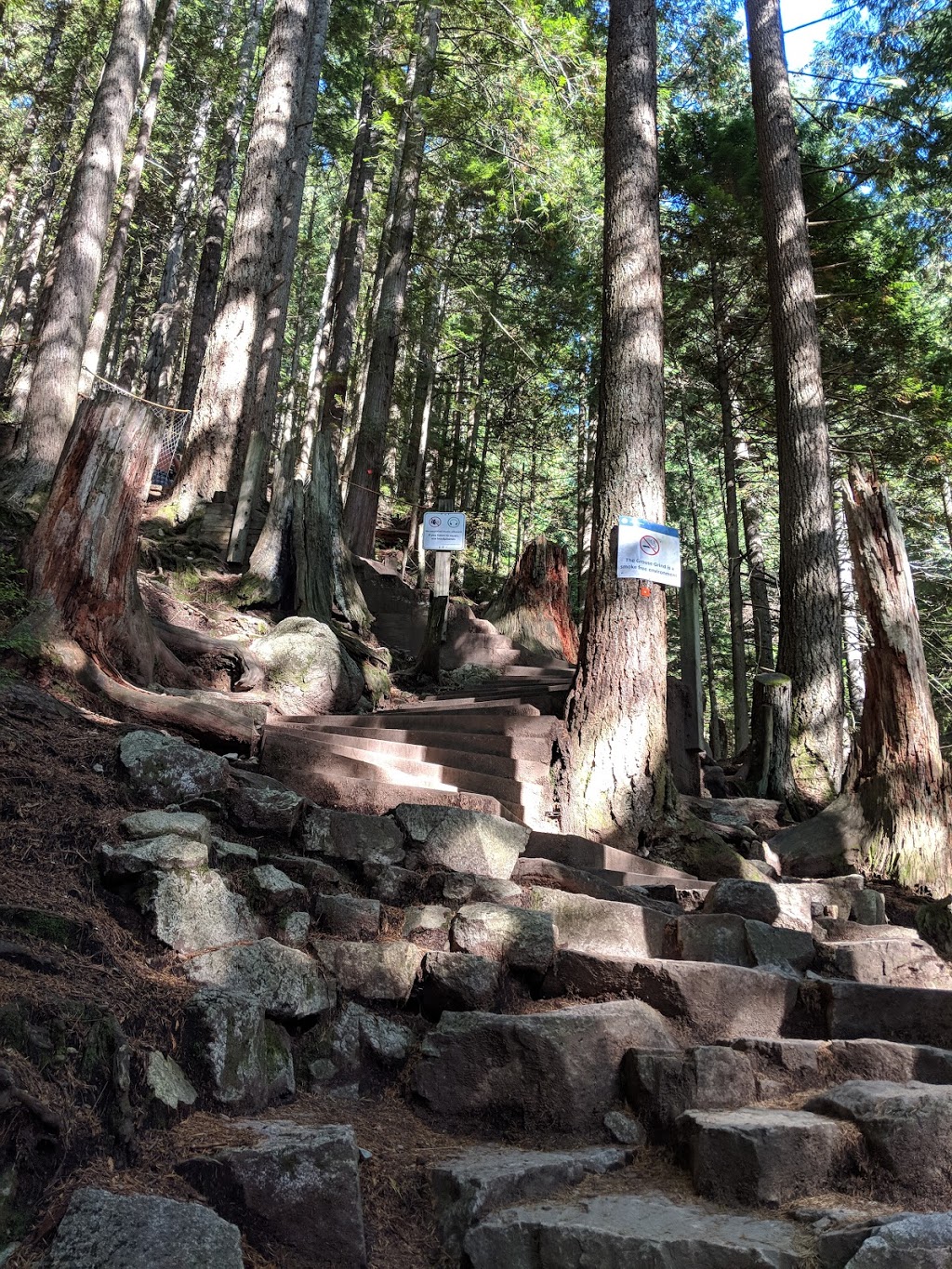 Grouse Grind | Grouse Grind, North Vancouver, BC V7R 4K9, Canada