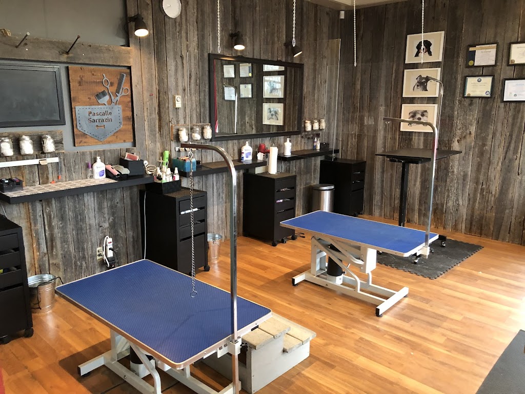 Toilettage Sarrazin | 116 Rue Morin, Sainte-Adèle, QC J8B 2R1, Canada | Phone: (450) 436-0321
