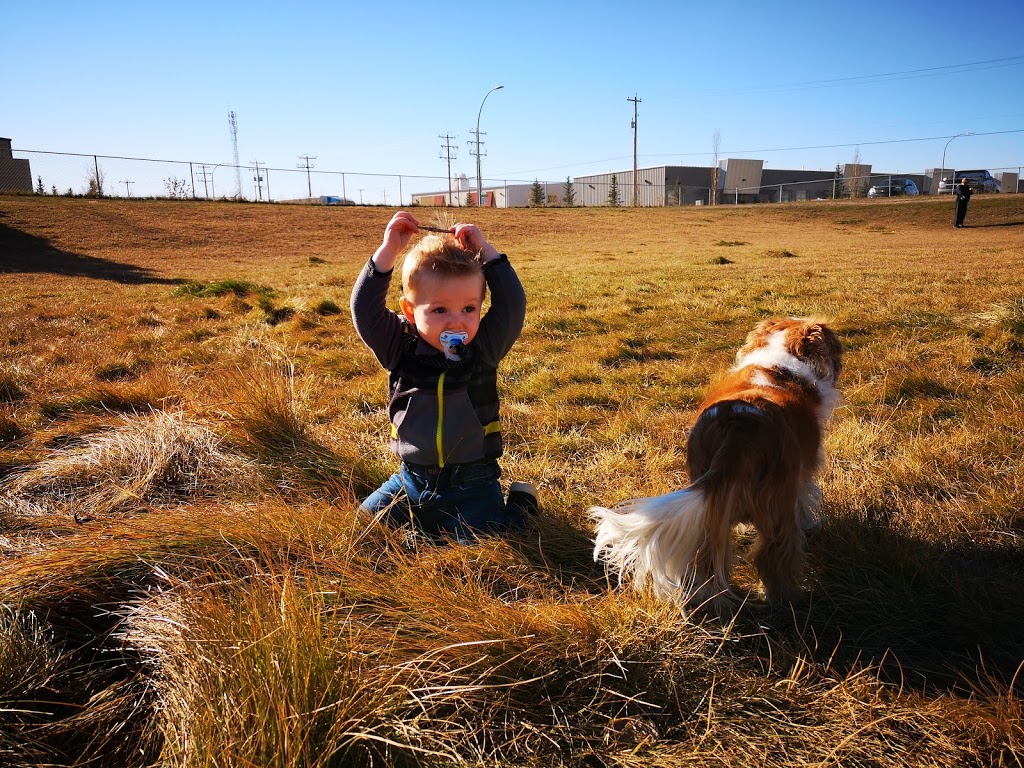 Small Dog Only Park | 36 East Lake Ave NE, Airdrie, AB T4A 2G8, Canada