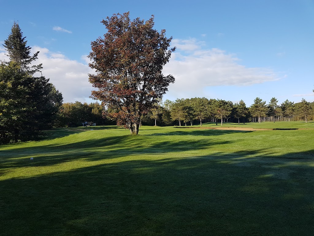 Club De Golf Pont Rouge | 15 Carré du Golf, Route, Rang Petit Capsa, Pont-Rouge, QC G3H 2N7, Canada | Phone: (418) 873-2033