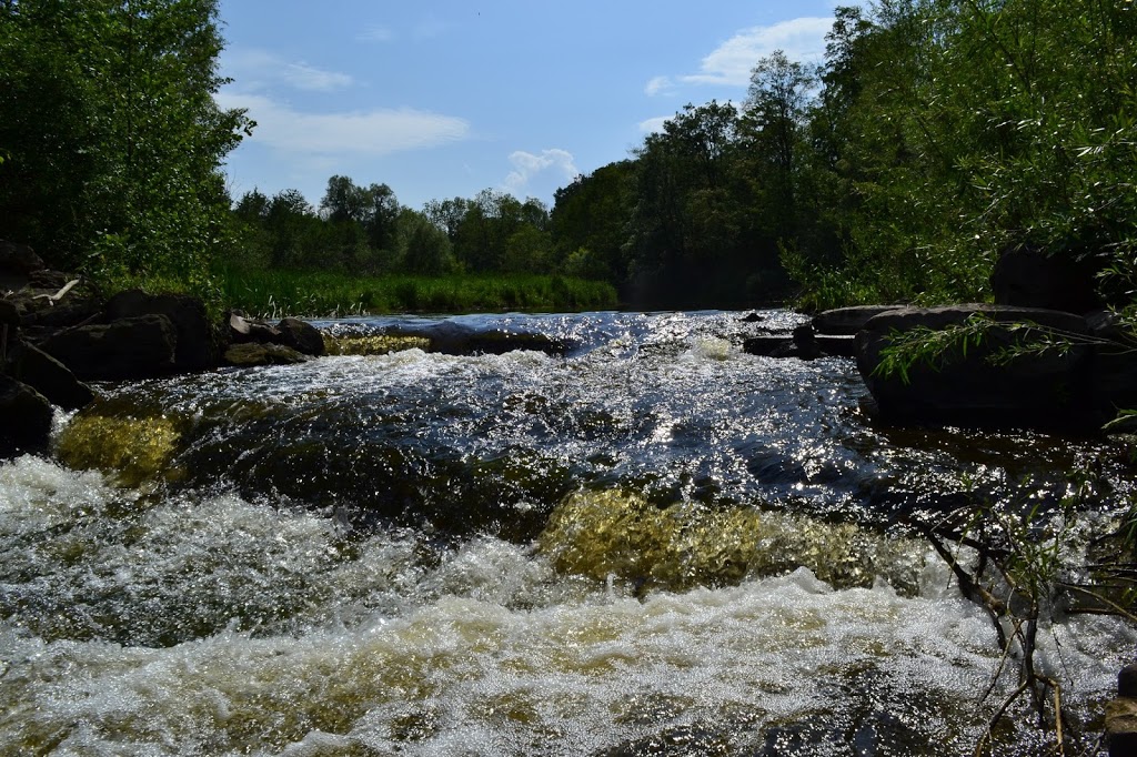 Crooks Hollow Conservation Area | 745 Crooks Hollow Rd, Dundas, ON L9H 5E2, Canada | Phone: (905) 525-2181