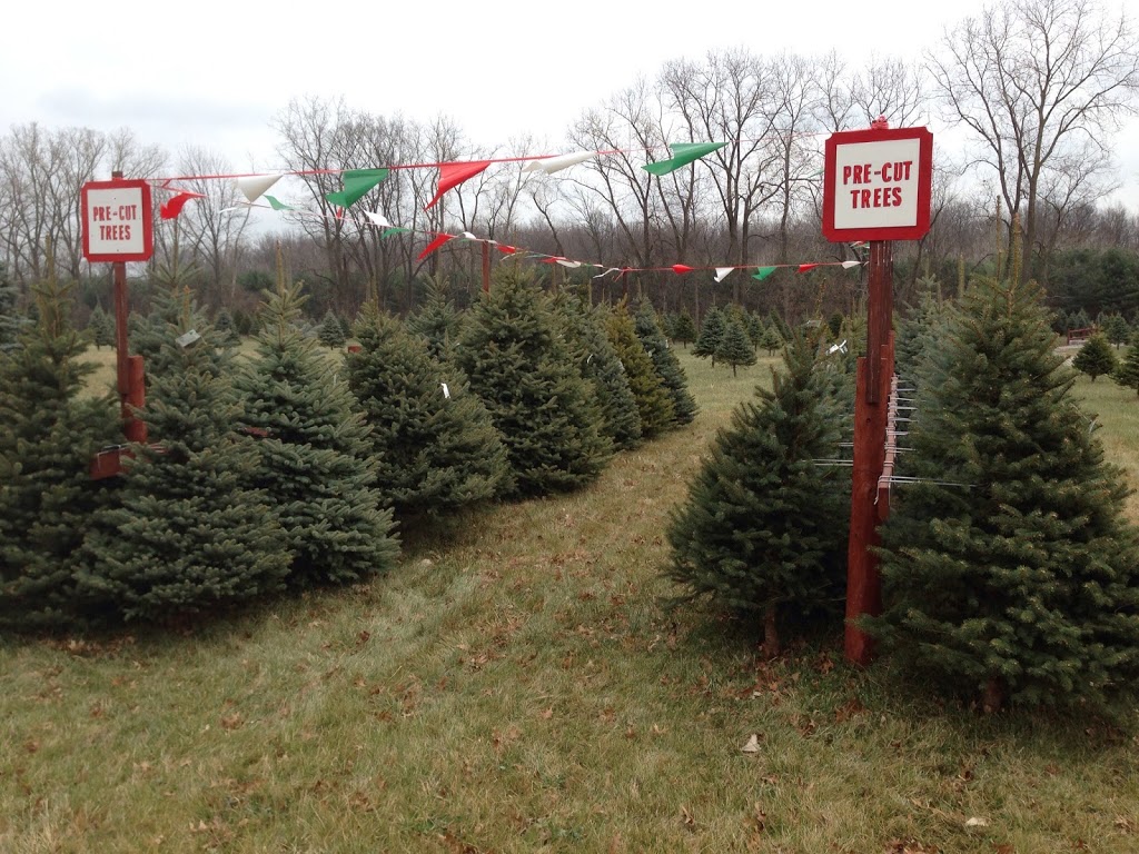 Shea Christmas Tree Farm | 6214 Shea Rd, Marine City, MI 48039, USA | Phone: (810) 765-5882