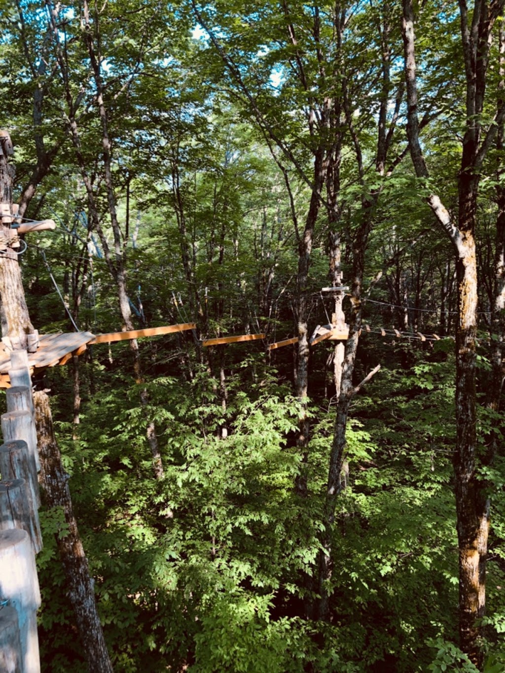 Treetop Trekking Huntsville | 1180 ON-60, Huntsville, ON P1H 1A9, Canada | Phone: (855) 788-9009