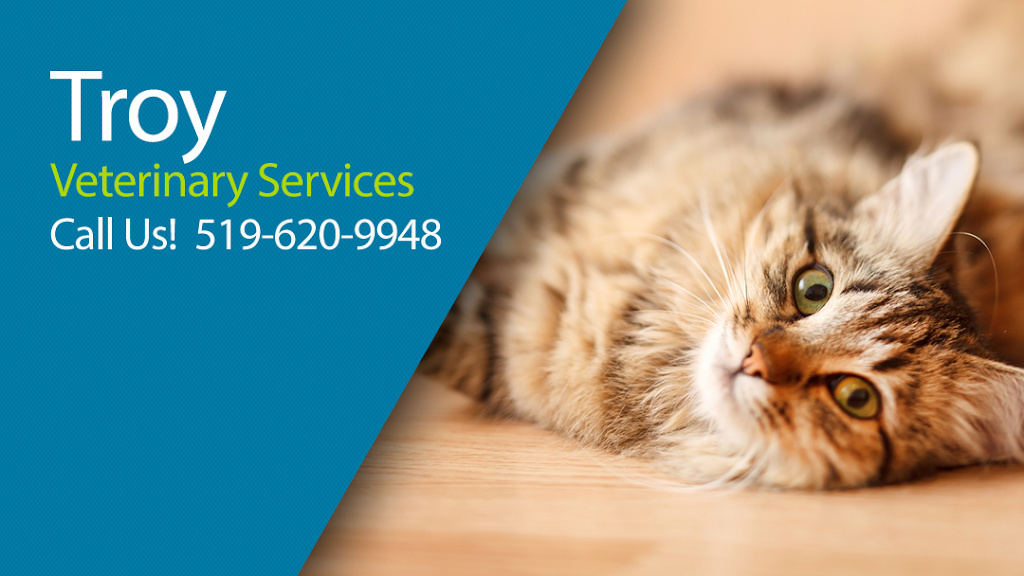 Troy Veterinary Services | 1165 ON-8, Sheffield, ON L0R 1Z0, Canada | Phone: (519) 620-9948