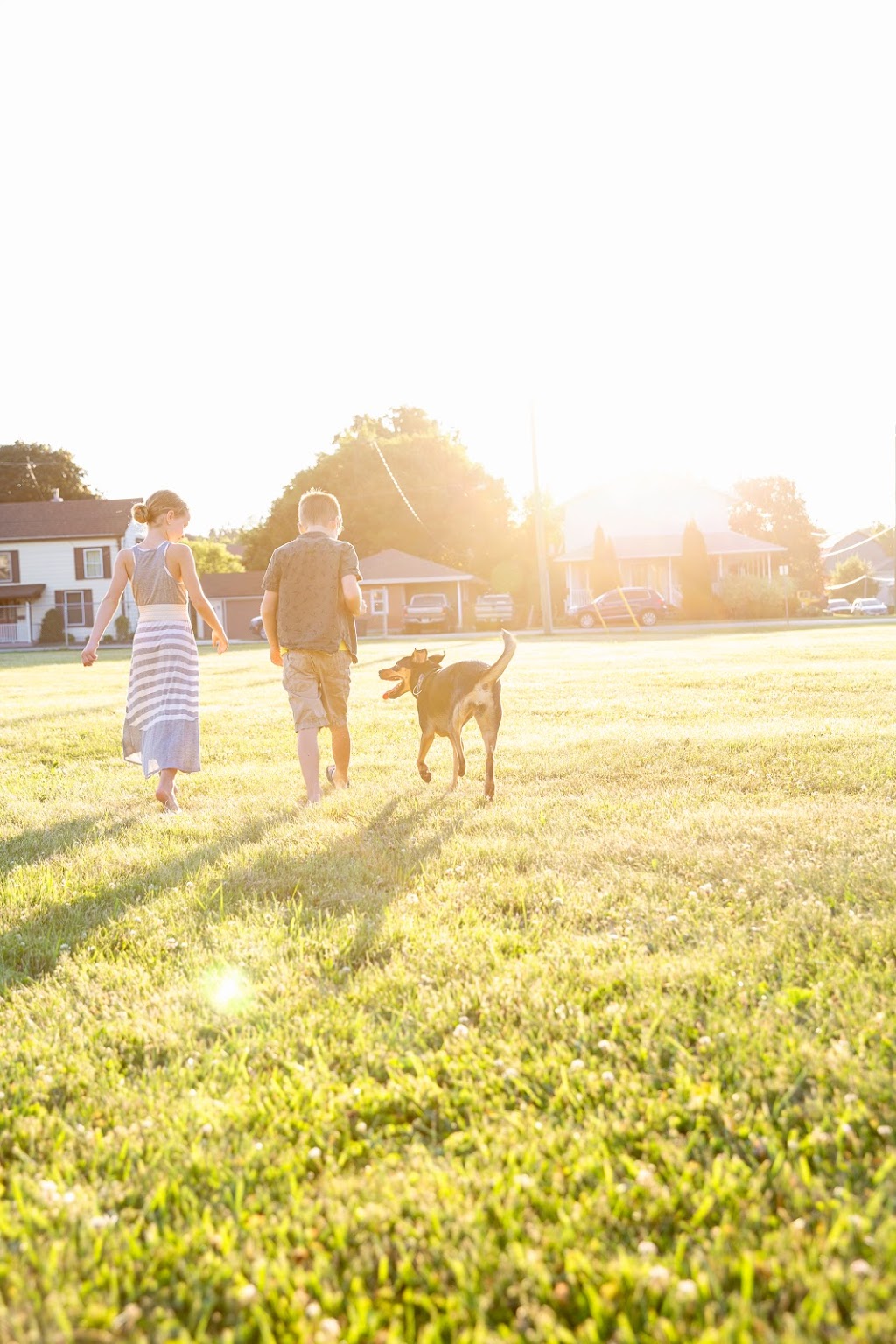 Liskeys Canine Classroom | 1760 Upper James St, Hamilton, ON L9B 1K9, Canada | Phone: (905) 679-2111