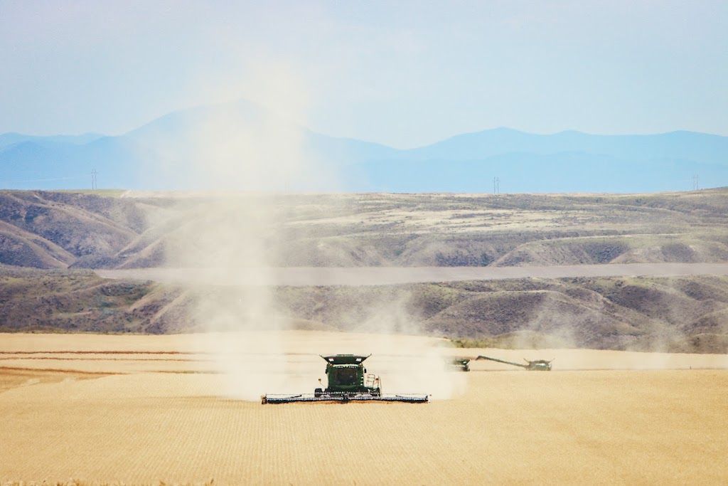 Van Driesten Harvesting Ltd. | 146 Manning Ave, Fort Macleod, AB T0L 0Z0, Canada | Phone: (403) 331-8237