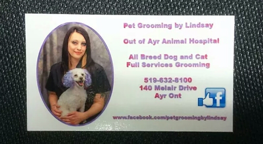 Pet Grooming By Lindsay | 140 Melair Dr, Ayr, ON N0B 1E0, Canada | Phone: (519) 632-8100