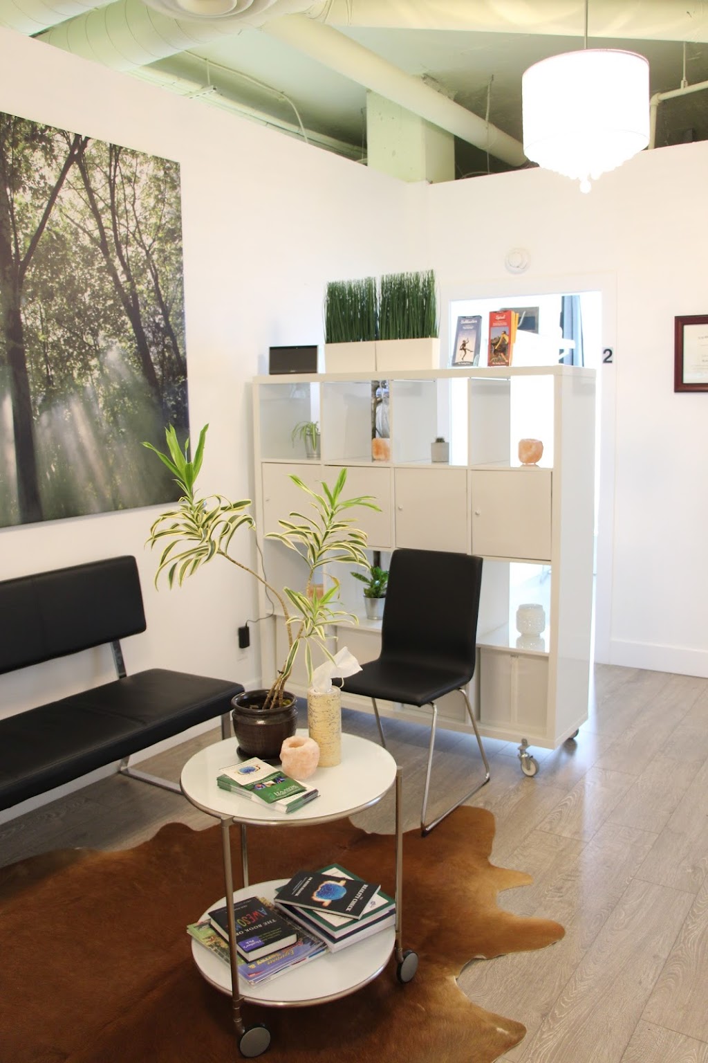 Life Force Chiropractic + Wellness | 2970 King George Blvd #9, Surrey, BC V4P 0E6, Canada | Phone: (604) 531-4990