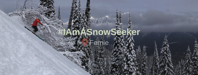 SnowSeekers | 4539 Marine Ave c, Powell River, BC V8A 3A9, Canada | Phone: (780) 983-9913