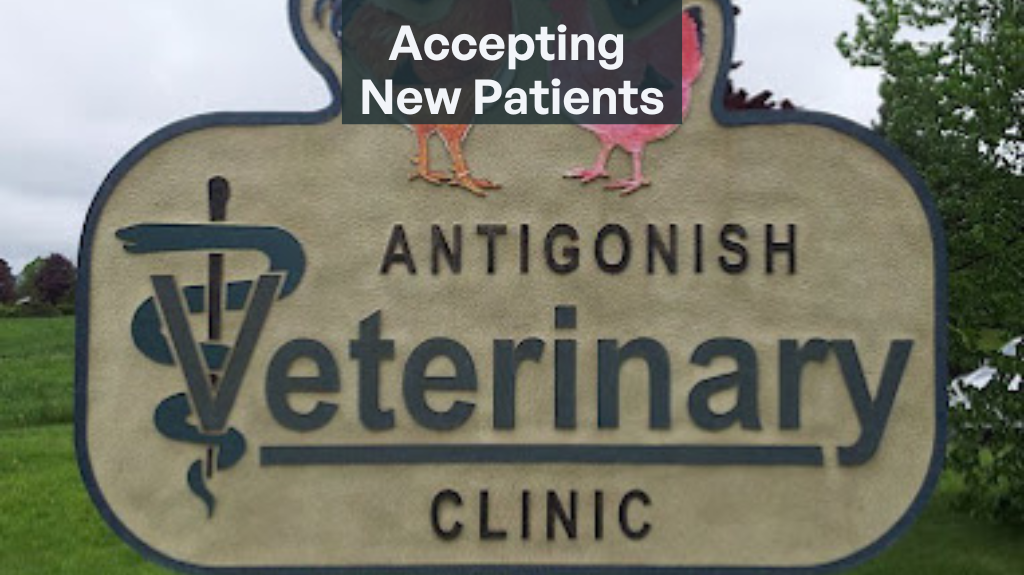 Antigonish Veterinary Clinic | 288 Hawthorne St, Antigonish, NS B2G 1B8, Canada | Phone: (902) 863-3157