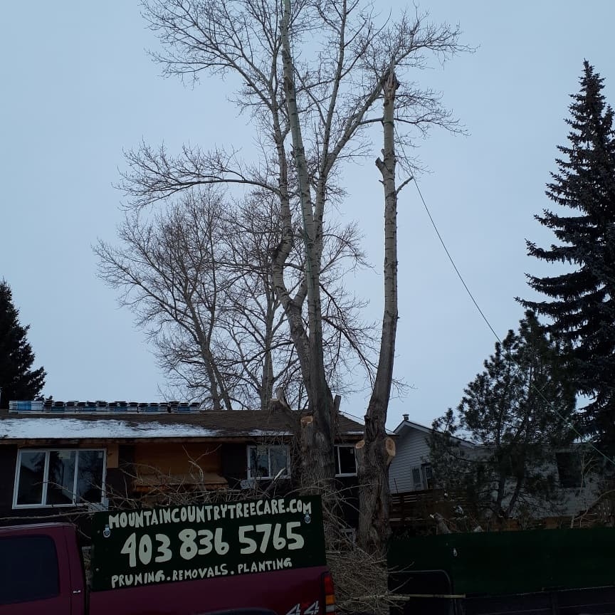 Mountain Country Tree Care | 67 Knight Pl, Crossfield, AB T0M 0S0, Canada | Phone: (403) 836-5765