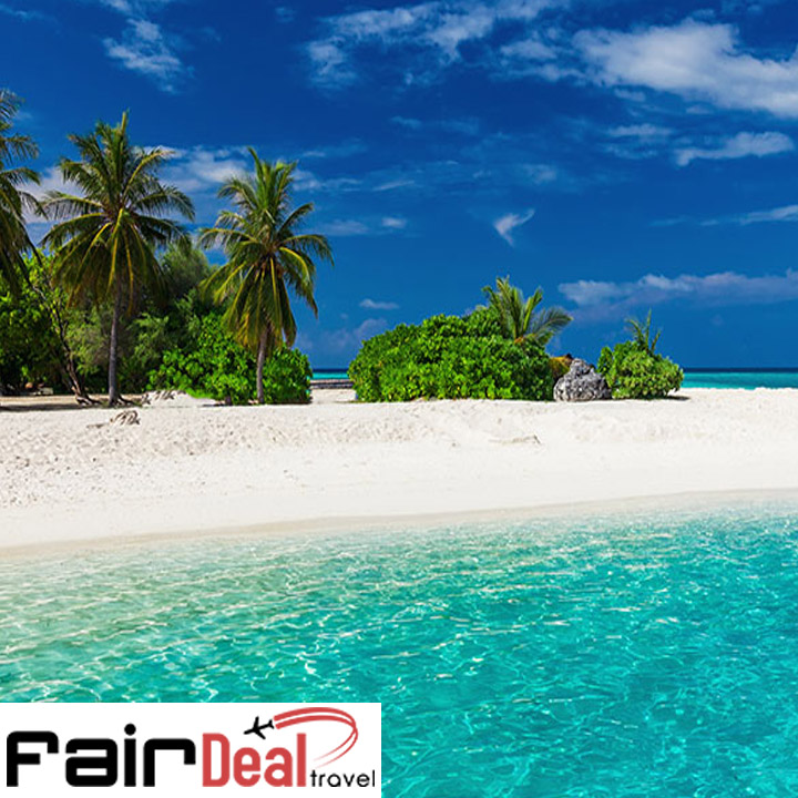 Fairdeal Travel Agency & Tours Operators Ottawa | 740 Smyth Rd, Ottawa, ON K1G 1P1, Canada | Phone: (613) 686-1233