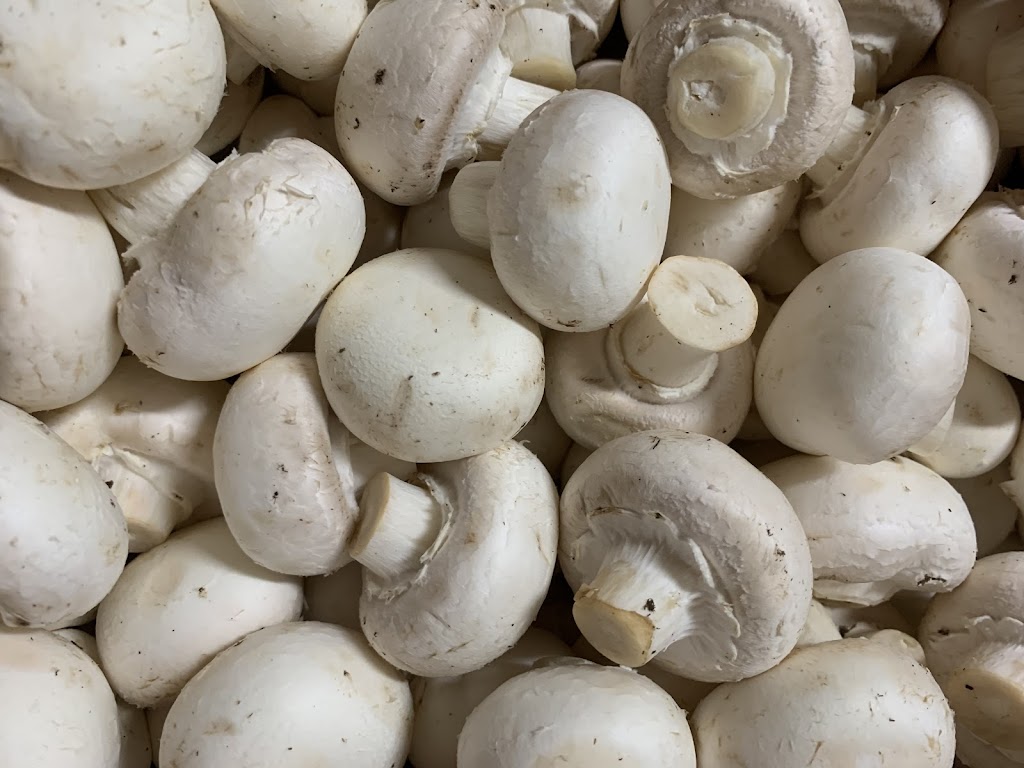 Unionville Mushroms far | 5395 19th Ave, Markham, ON L3P 3J3, Canada | Phone: (905) 640-2892