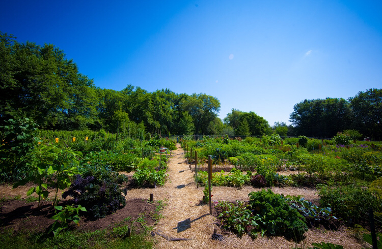 Whitby Ajax Garden Project | Whitby, ON L1M 1S3, Canada