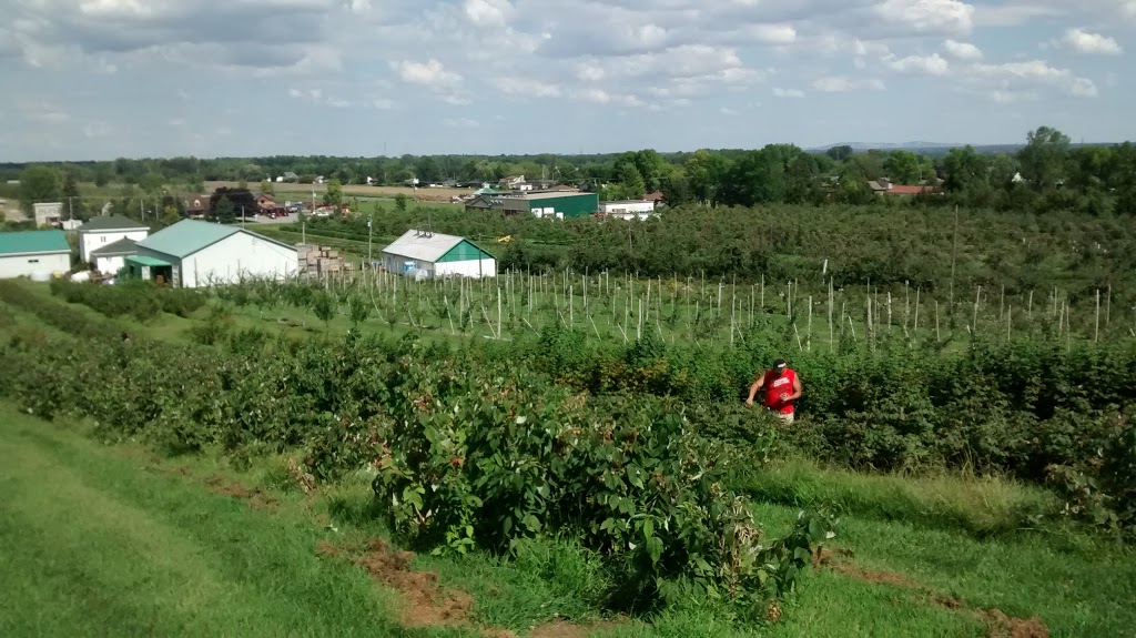 Ferme L. Denis | 692 Chemin Principal, Saint-Joseph-du-Lac, QC J0N 1M0, Canada | Phone: (450) 623-4874