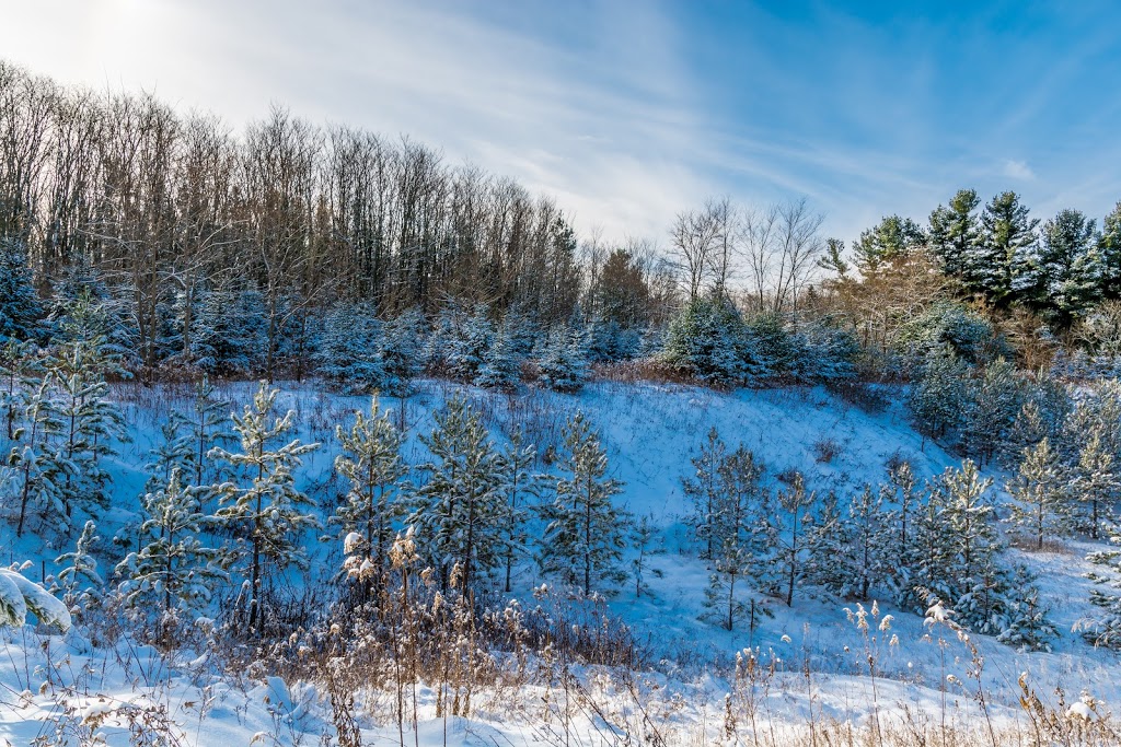 Greenwood Conservation NORTH Entrance | 5th Concession Rd, Pickering, ON L0H 1H0, Canada