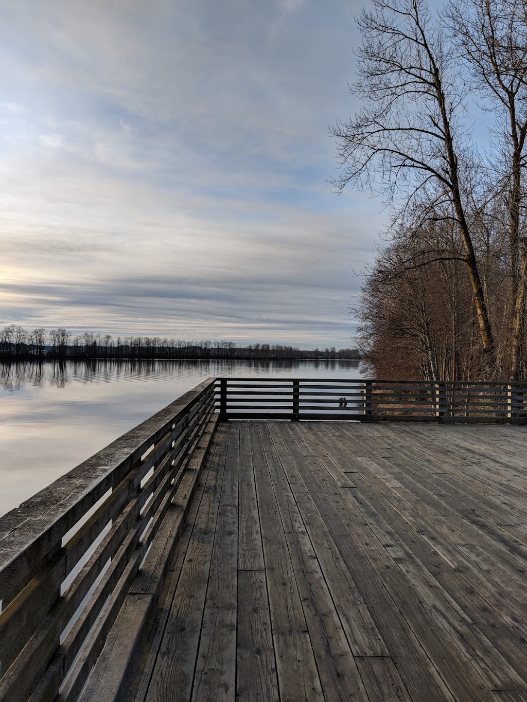 Shoreline Park | 51 Bonson Rd, Pitt Meadows, BC V3Y 0A9, Canada