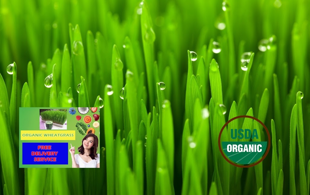 The Wheatgrass Store | Chilcotin Dr, Abbotsford, BC V2T 4Z8, Canada | Phone: (604) 746-7197