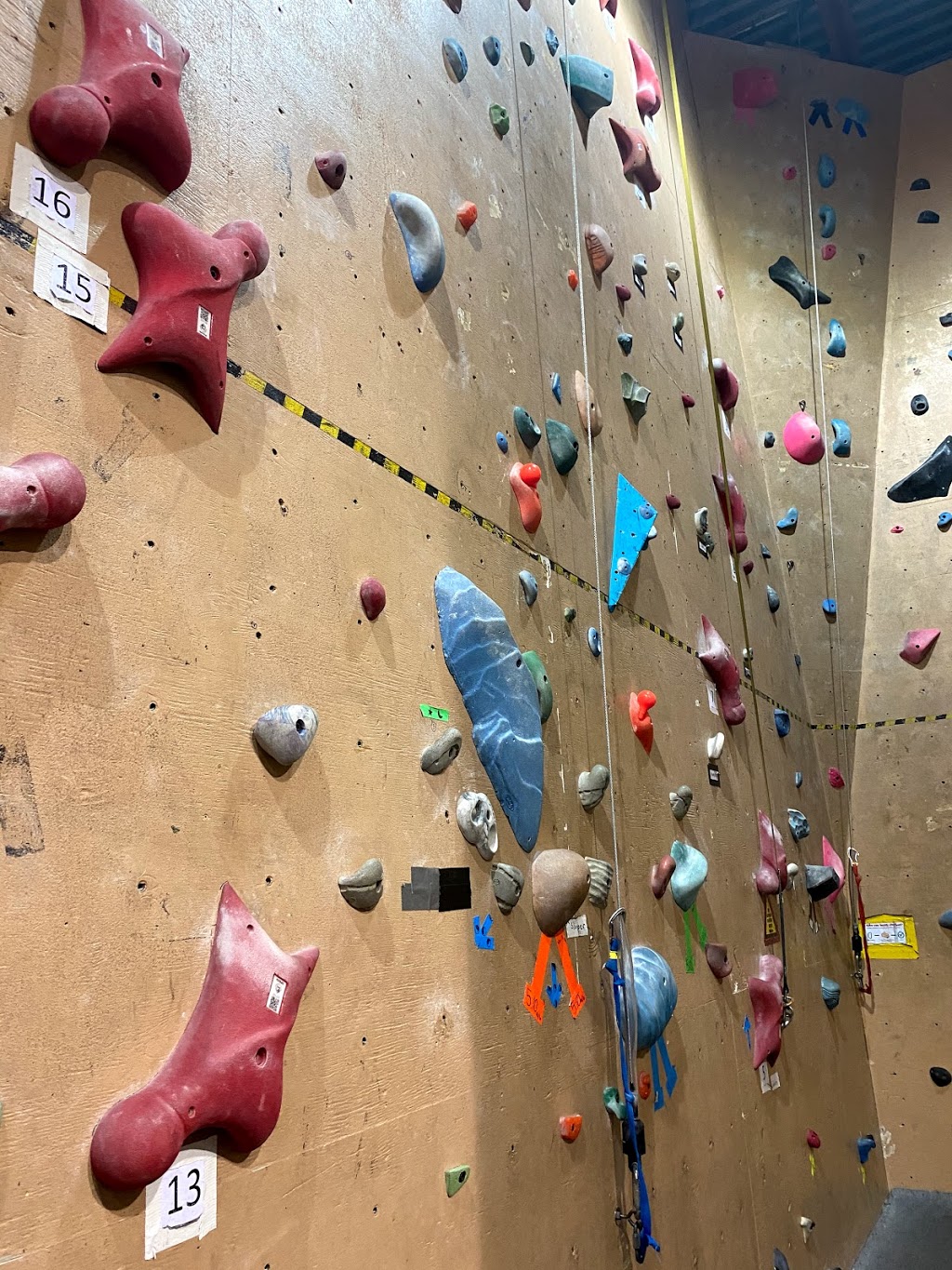 Rock Wall Climbing Gym Inc | 11455 201a St, Maple Ridge, BC V2X 0Y3, Canada | Phone: (604) 460-0808