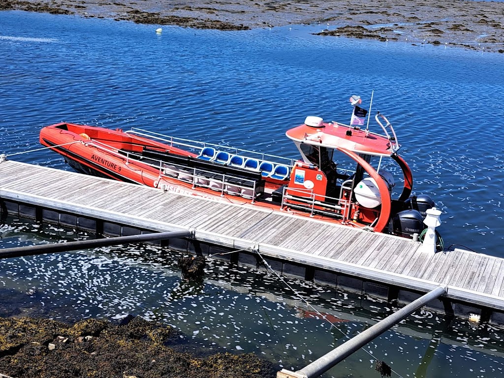 Croisières Essipit / Whale Watching Essipit Cruise | 498 Rue de la Mer, Grandes-Bergeronnes, QC G0T 1G0, Canada | Phone: (418) 232-6778