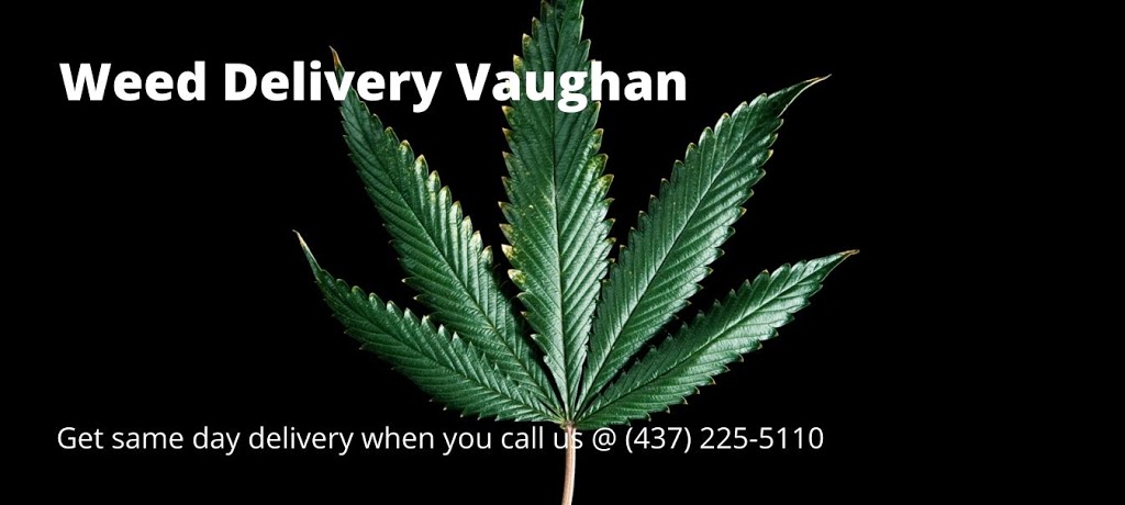 Weed Delivery Vaughan Same Day - Kush Club | 3255 Rutherford Rd #31, Concord, ON L4K 5Y5, Canada | Phone: (437) 225-5110