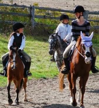 Greyden Equestrian Facility | 5565 Wellington Road 24, Trafalgar Road North, Erin, ON N0B 1T0, Canada | Phone: (519) 833-2623