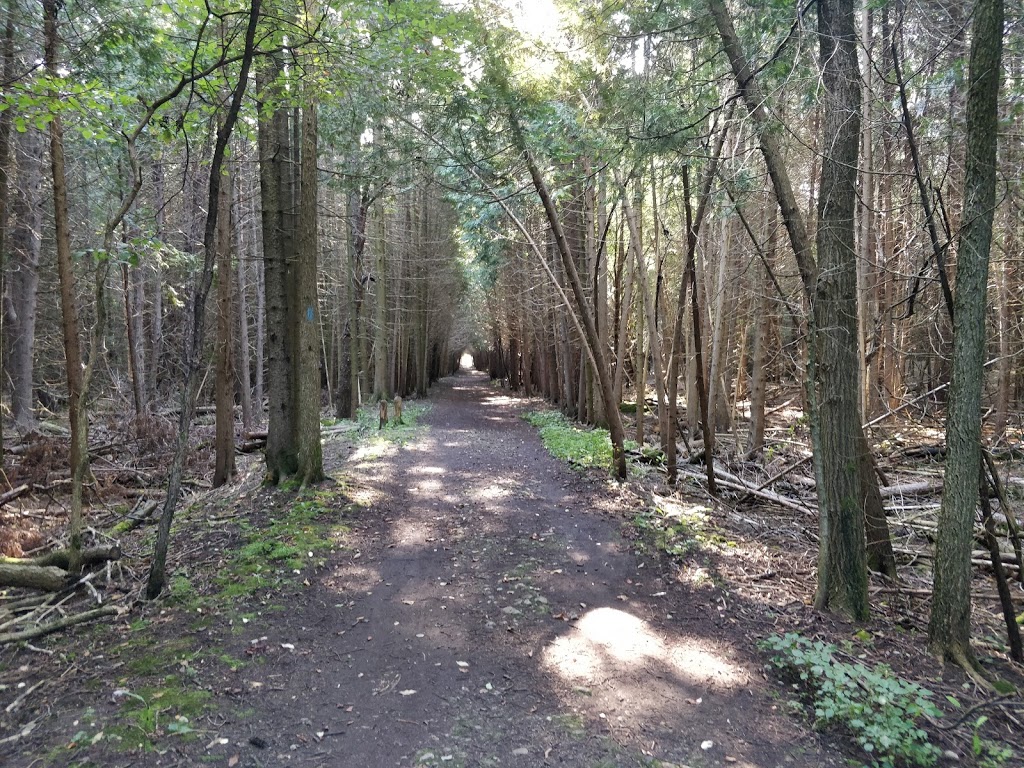 Smith Property Loop Hiking Trail | Smith Property Loop, Puslinch, ON N1L 1L1, Canada