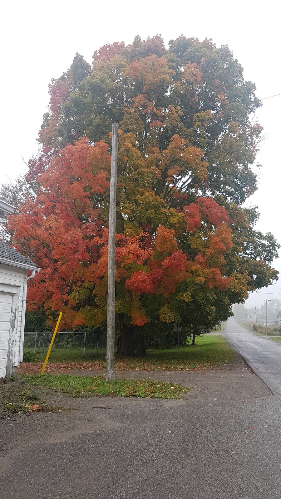 County Road Cafe | 1092 County Rd 22, Grafton, ON K0K 2G0, Canada | Phone: (905) 925-7297