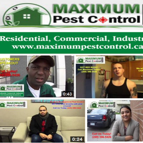 Maximum Pest Control Services | 2325 Hurontario St #396, Mississauga, ON L5A 4K4, Canada | Phone: (905) 330-2102