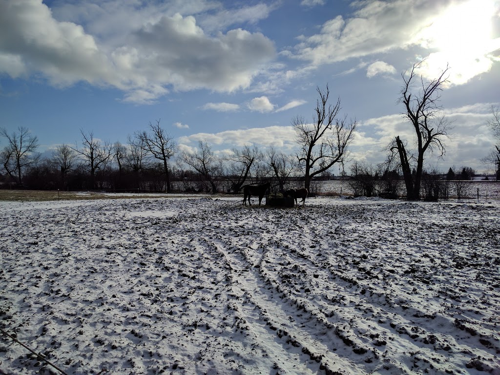 Caledon Equestrian School | 13441 Airport Rd, Caledon East, ON L7C 2X5, Canada | Phone: (905) 584-2022